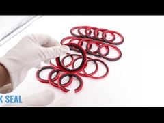 SPGO Glyd সীল HBTS ধাপ সীল